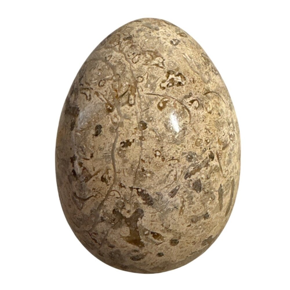 Polished Fossilized Stone Egg With Intricate Natural Patterns Beige Brown 4"